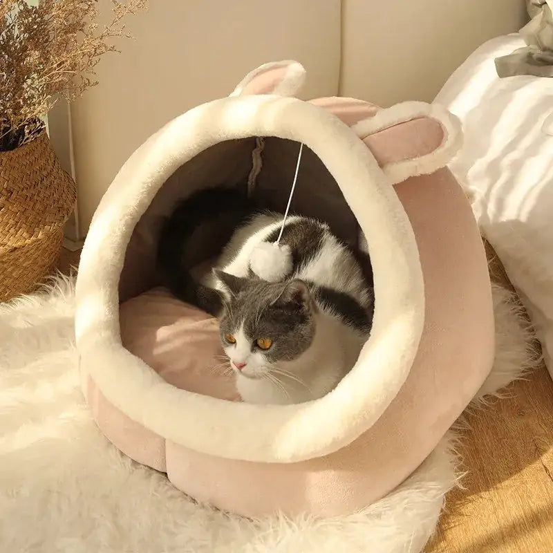 Comfort for Your Feline Friend